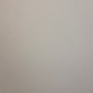 Meet your Posher, Anson